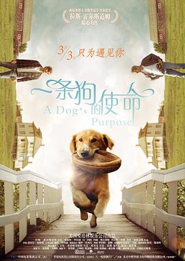 李丽珍三年级的电影免费观看